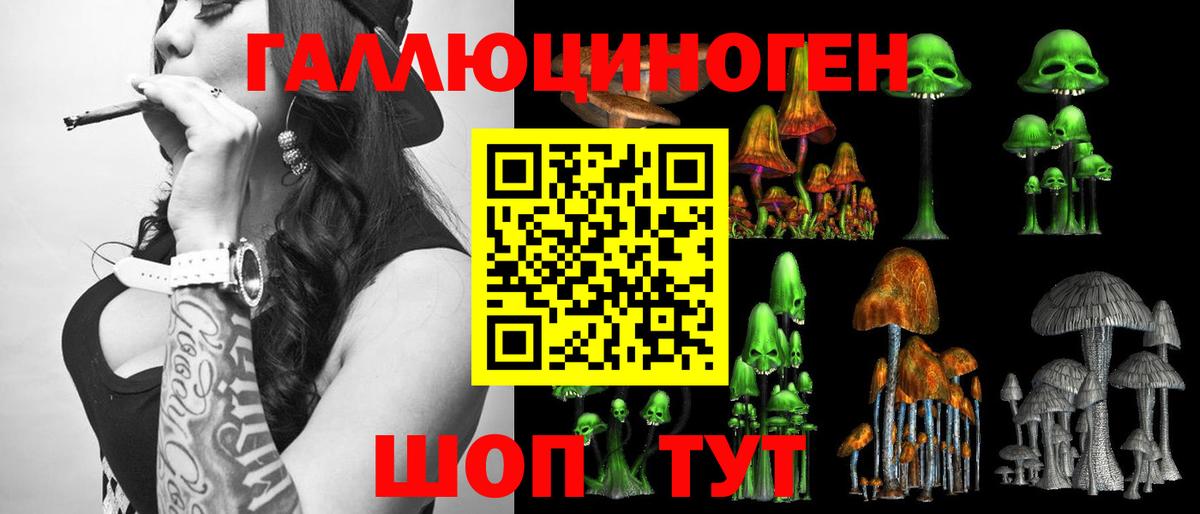 Псилоцибиновые грибы Psilocybe Будённовск