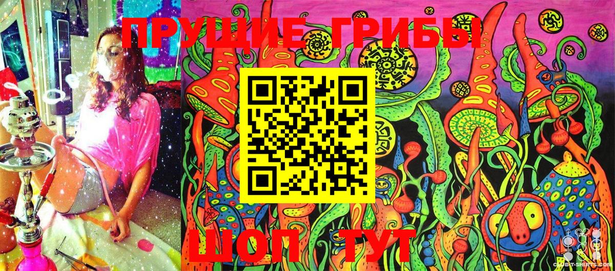 Будённовск  Галлюциногенные грибы GOLDEN TEACHER  Галлюциногенные грибы Magic Shrooms  Вход с VPN 